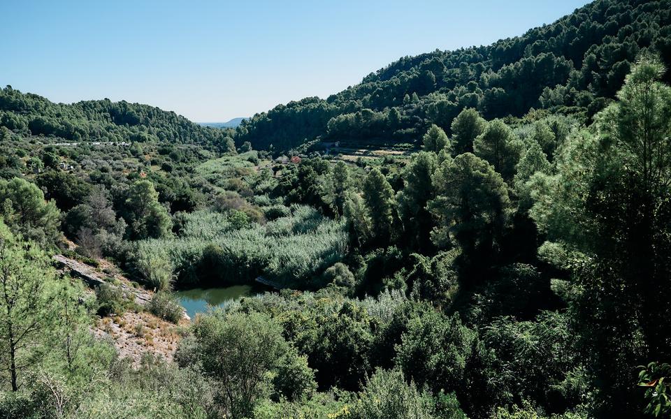 The valley around the Denia property